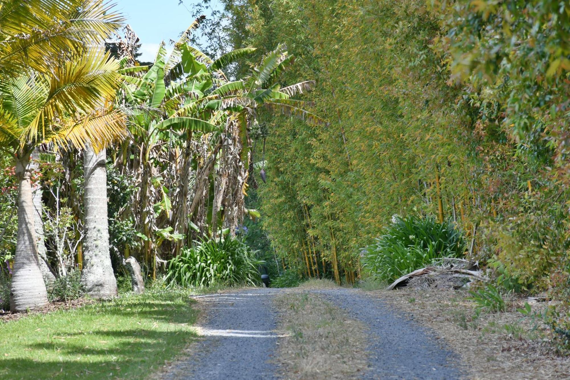Kerikeri Bedroom And Lounge Luaran gambar